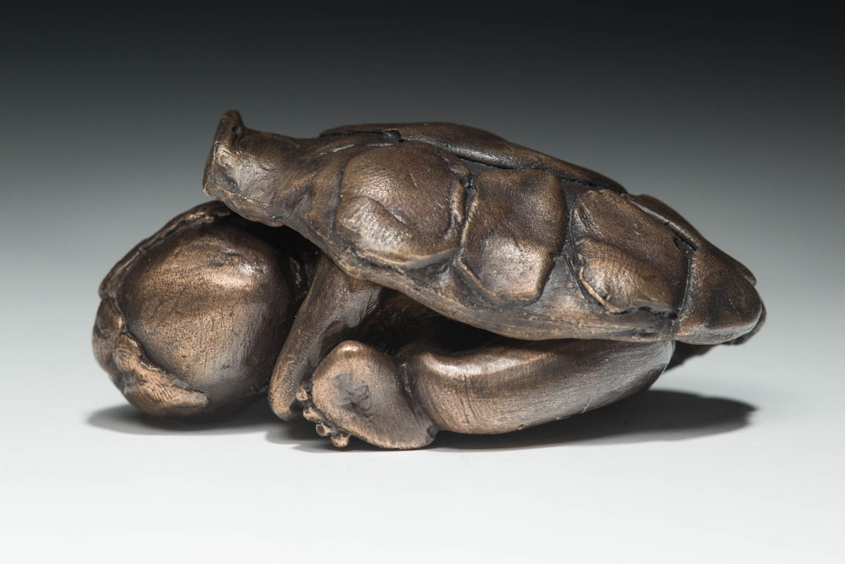 Turtle Baby (2 parts)