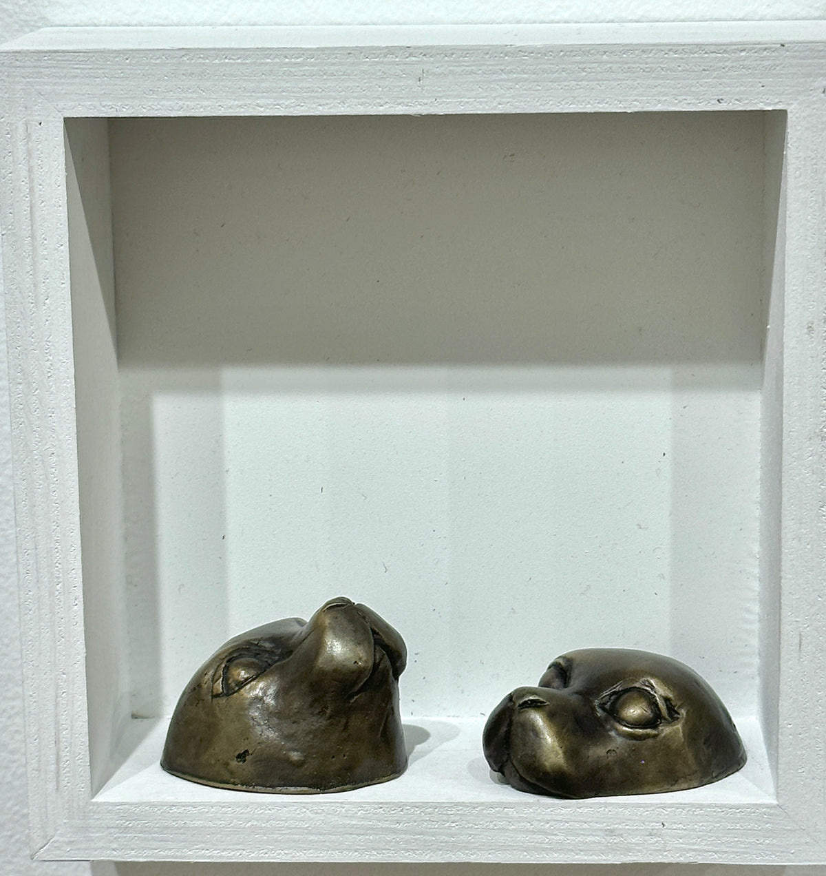 Double Seal Heads (medium )