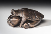 Turtle Baby (2 parts)