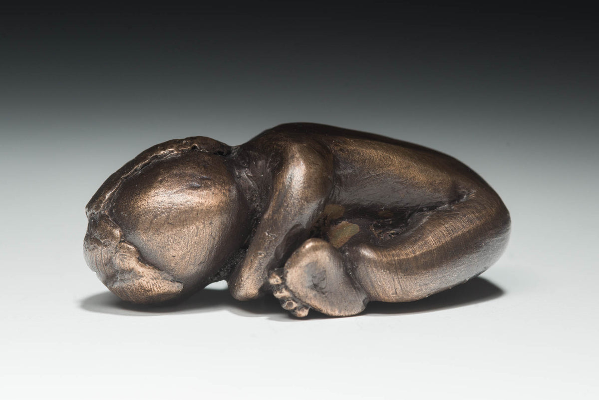 Turtle Baby (2 parts)