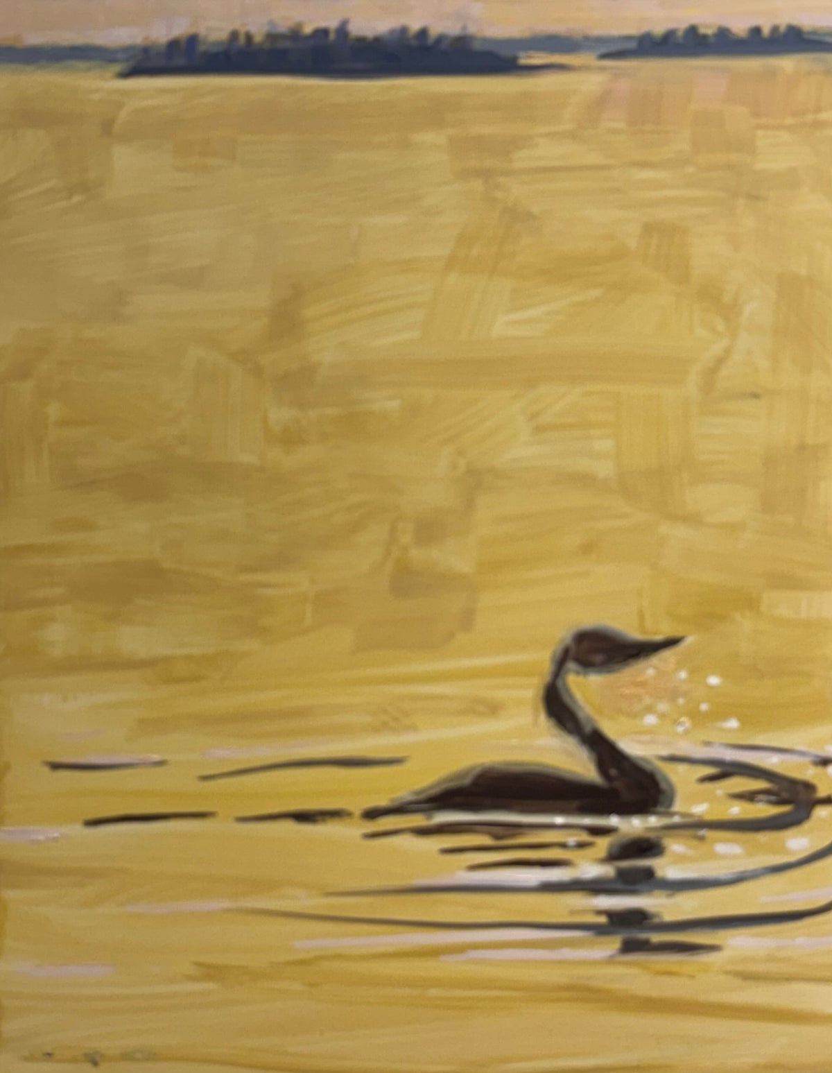 Cormorant Just Ate Fish