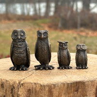 Four Owls and Owlettes