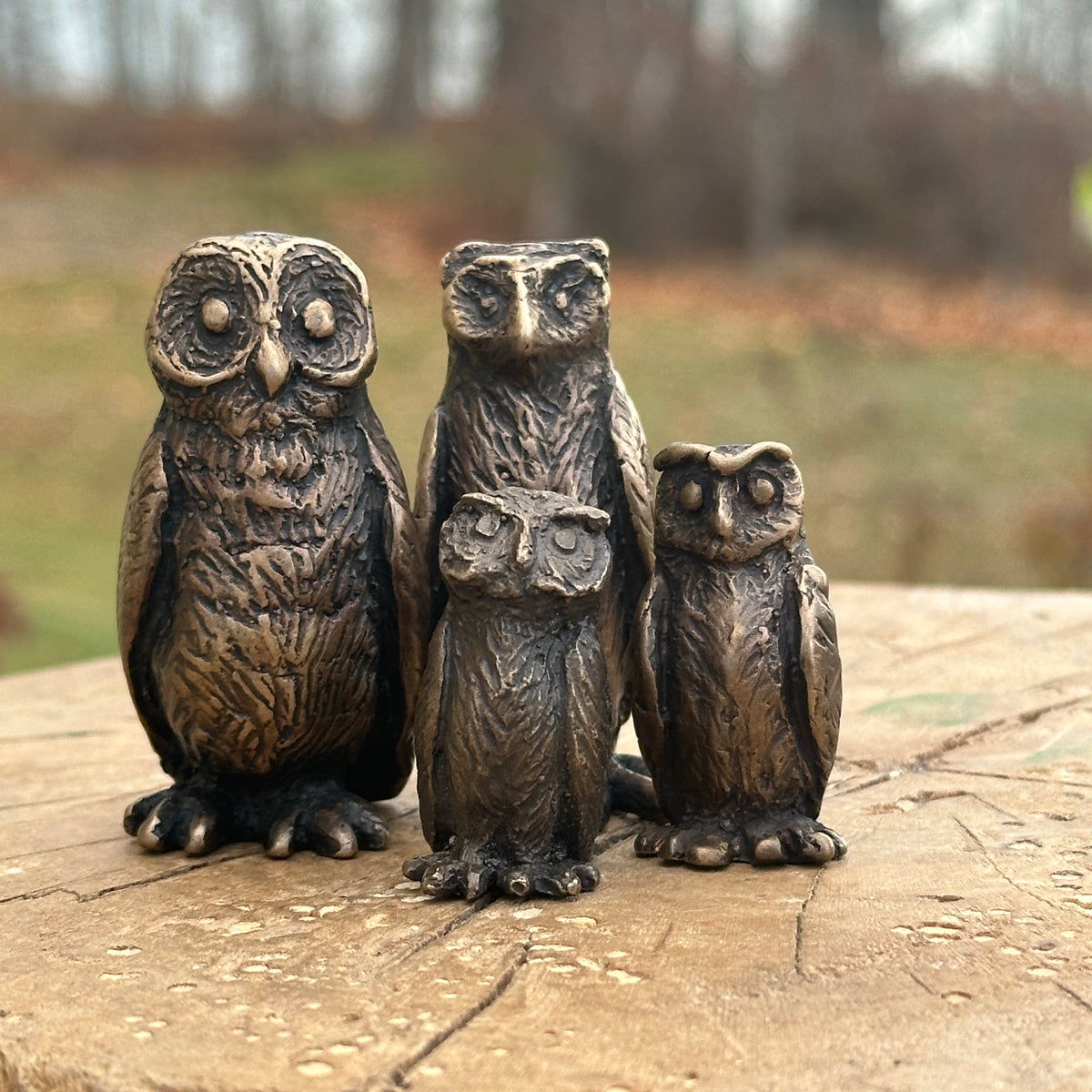 Four Owls and Owlettes