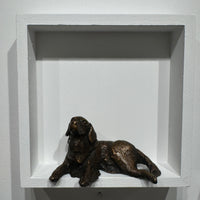 Golden Retriever (bigger than box)