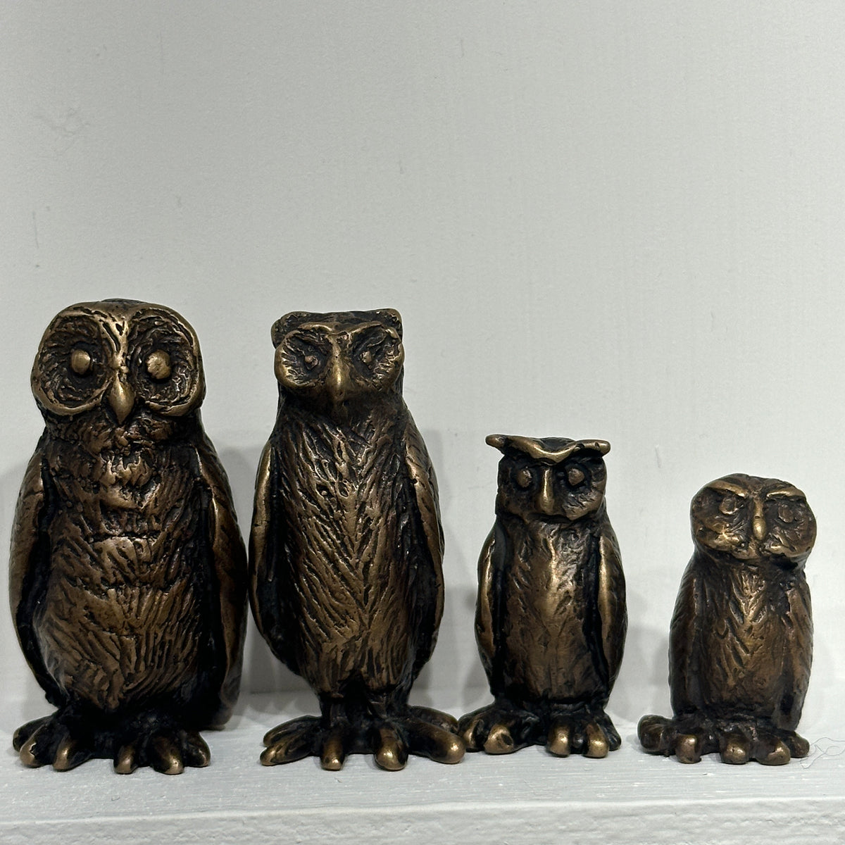 Four Owls and Owlettes