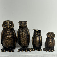 Four Owls and Owlettes