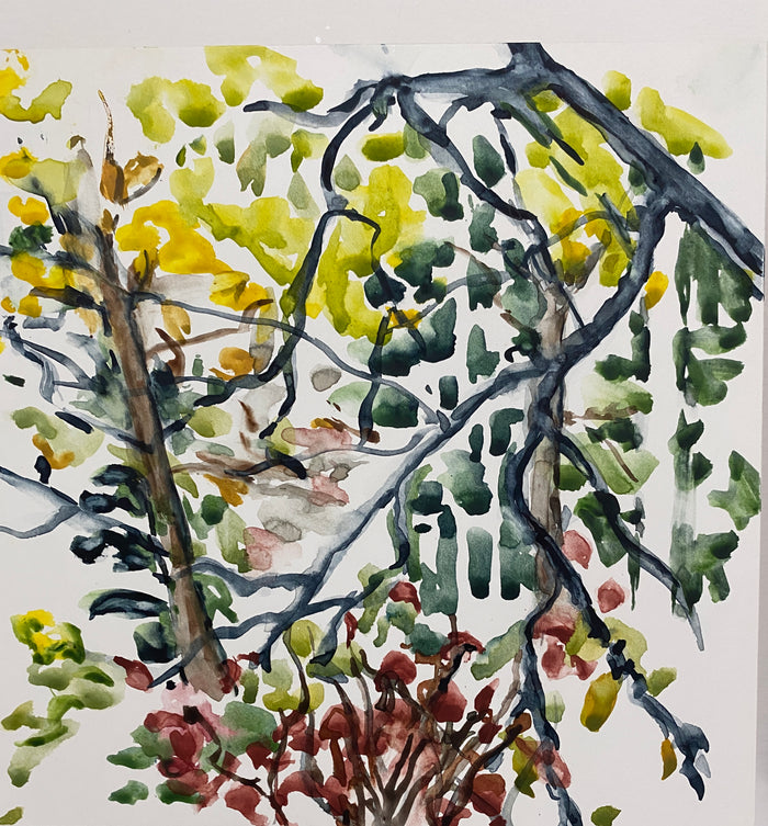 Through the window I