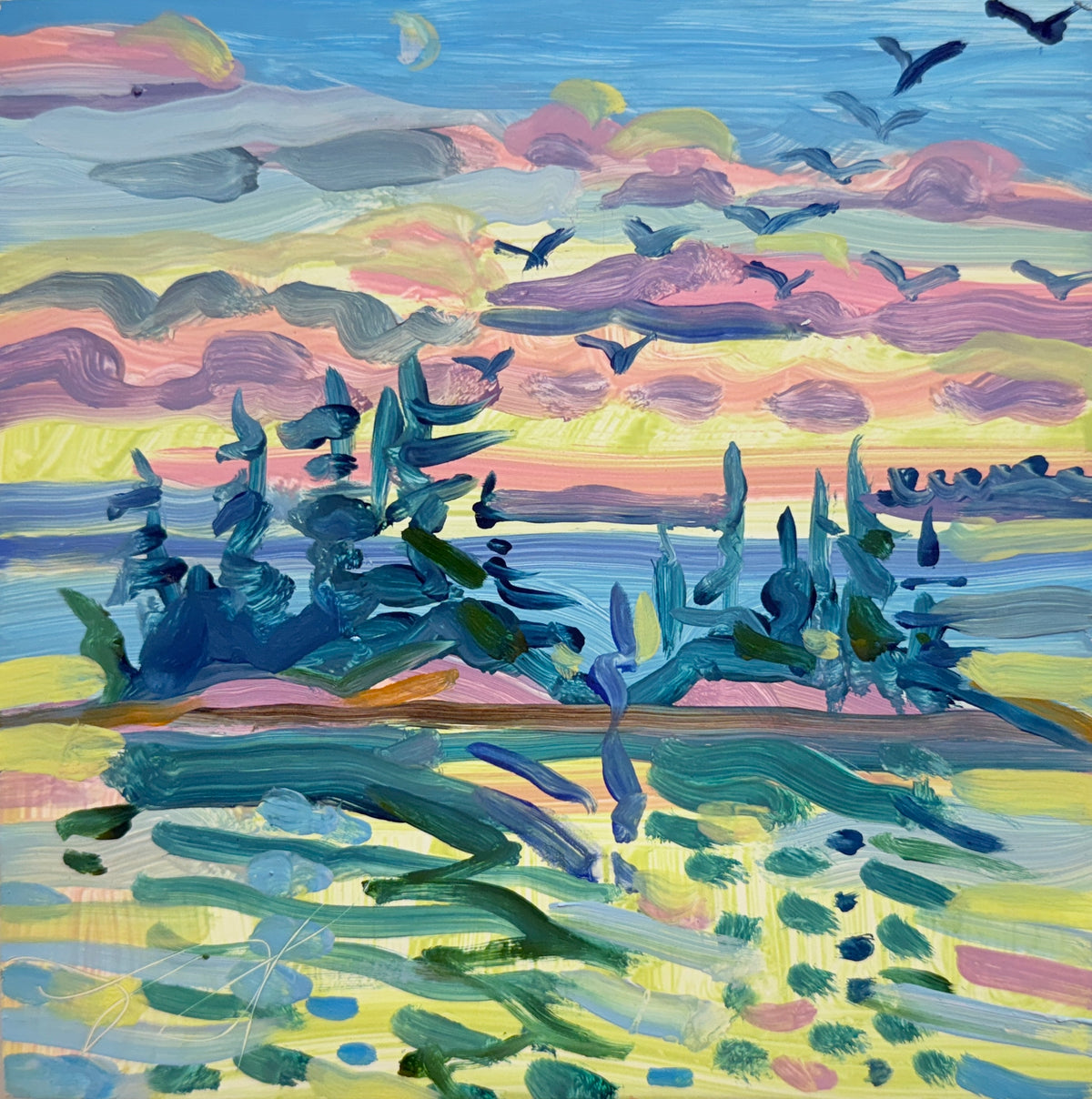 Migration Over Weir Island