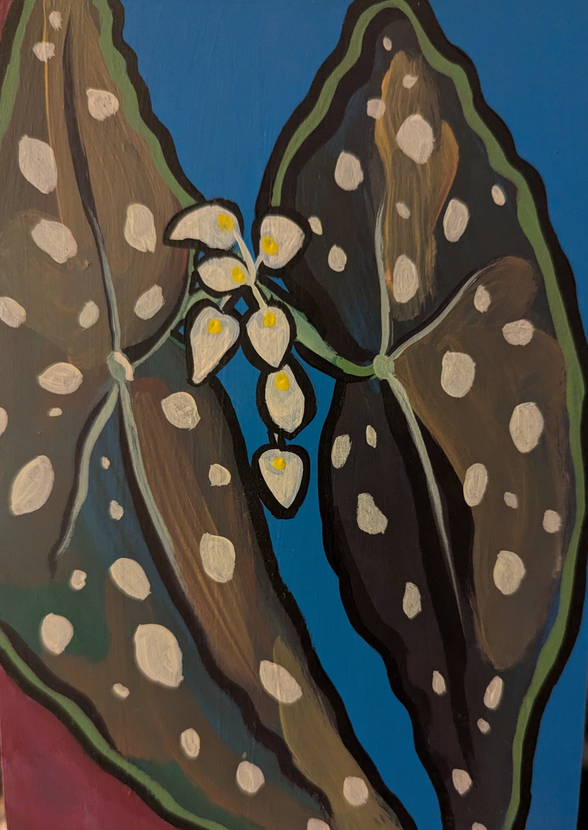 Angelwing from the 'Flora and Fauna' series