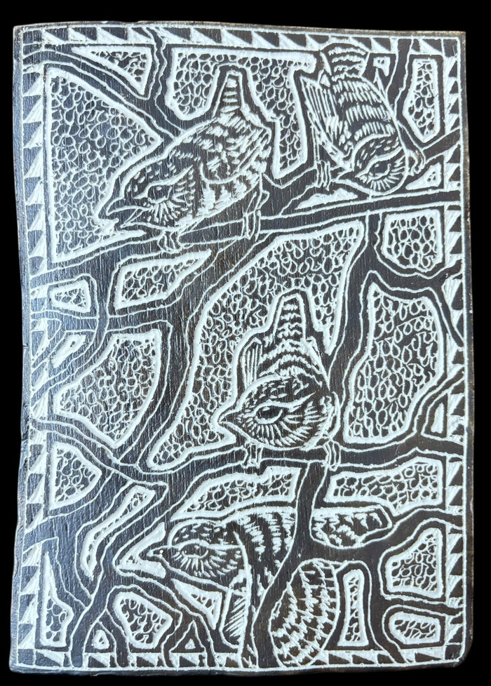 Winter Wrens Thicket