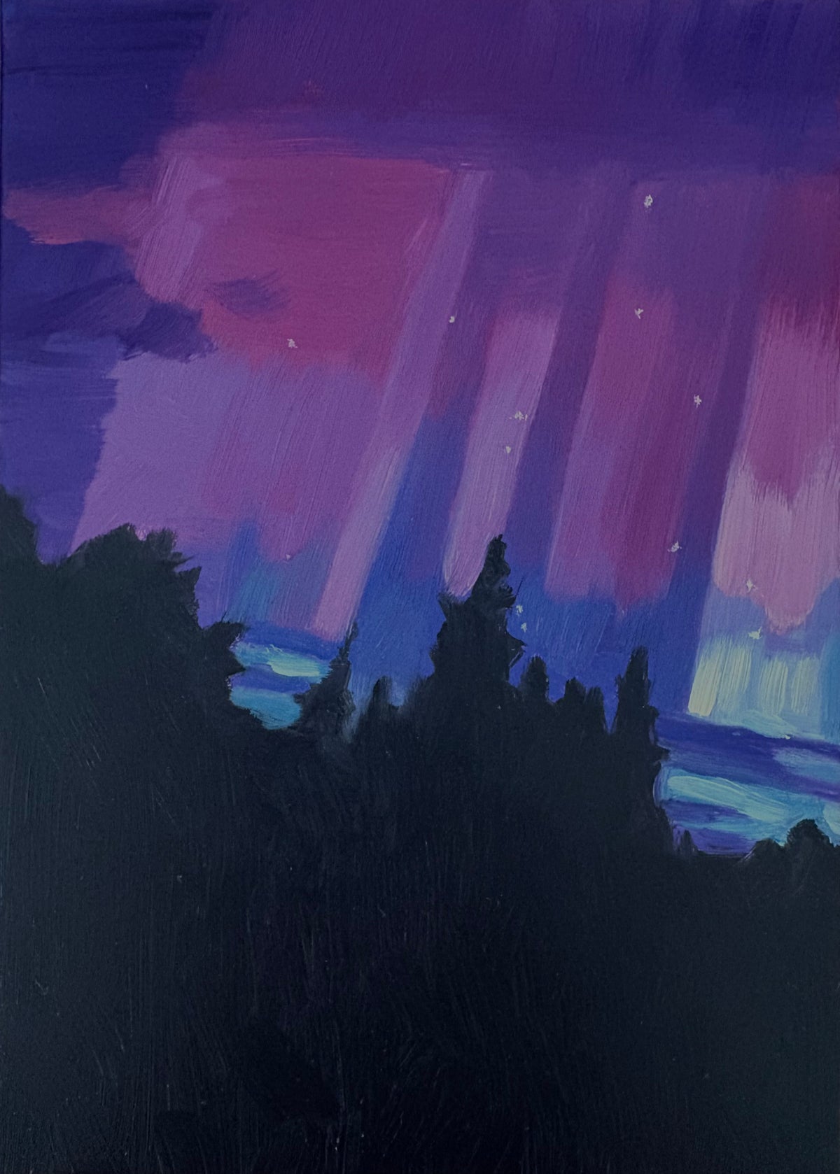 Look UP! 20 Northern Lights