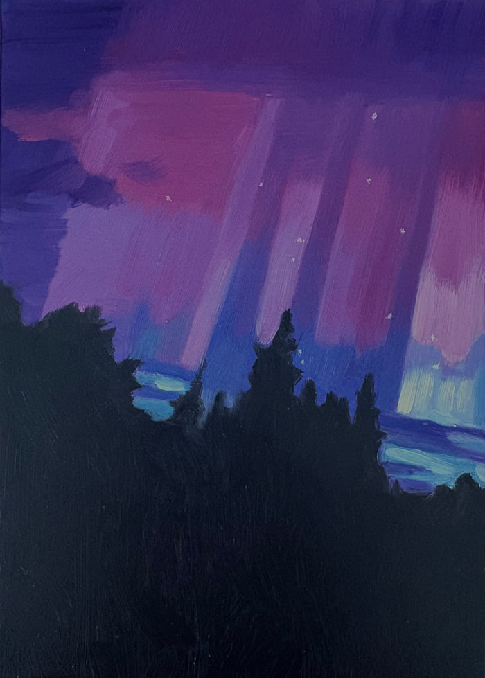 Look UP! 20 Northern Lights