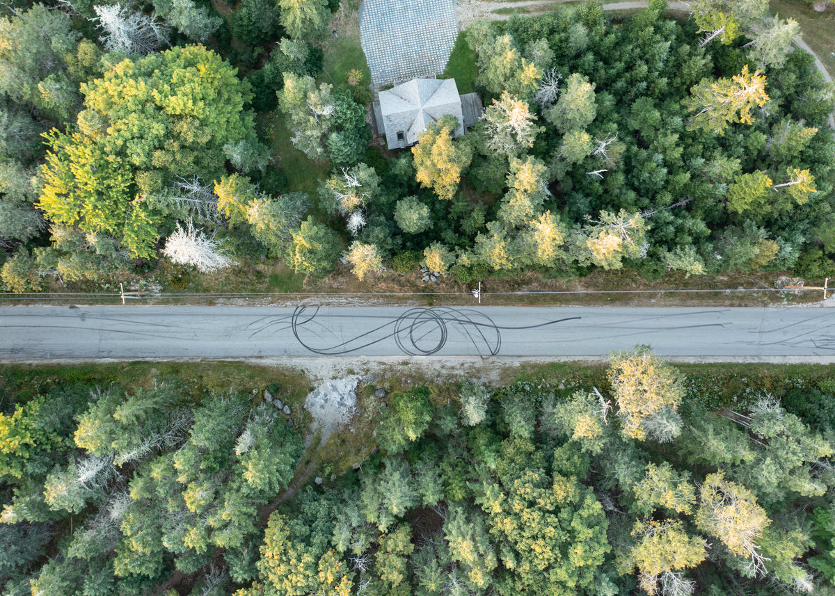 Flying Around My Neighborhood #4 (series) (homage to Steed/Spinski)