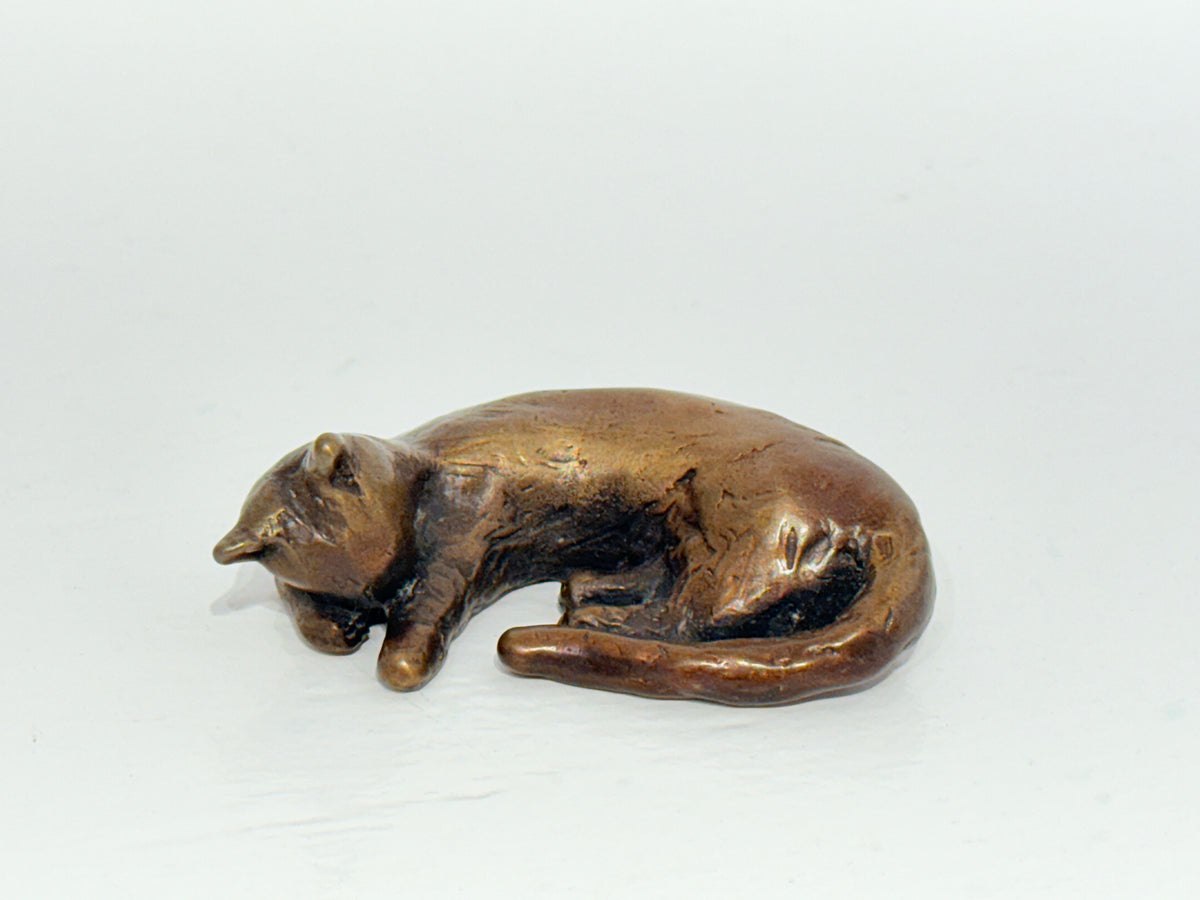 Sleeping Cat (4)