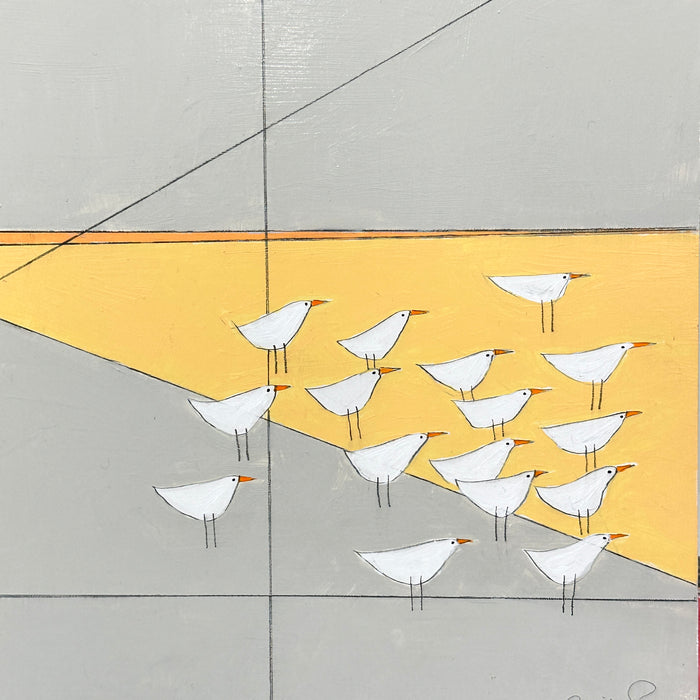 Shore Birds on Sunset Beach