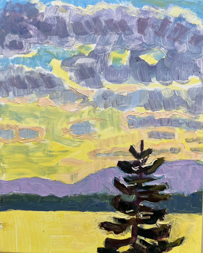 Yellow Sheen, Camden Hills