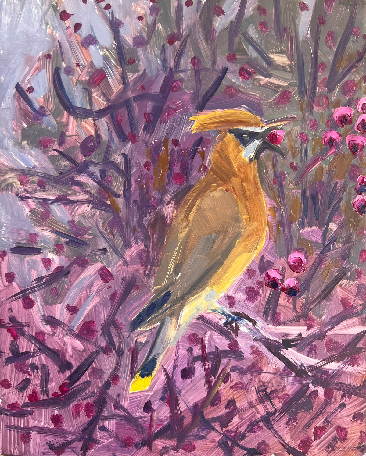 Cedar Waxwing