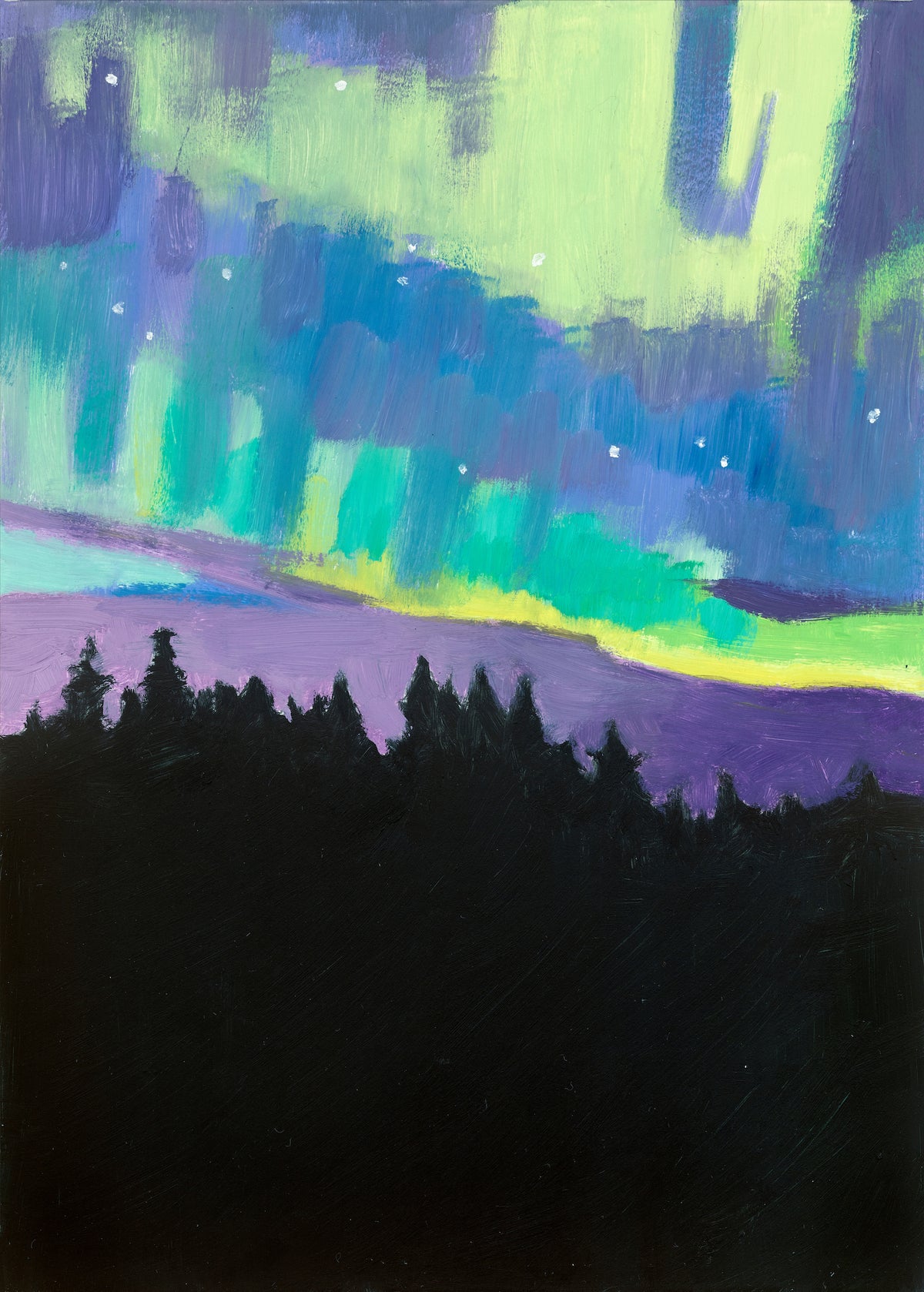 Look UP! 14 Northern Lights