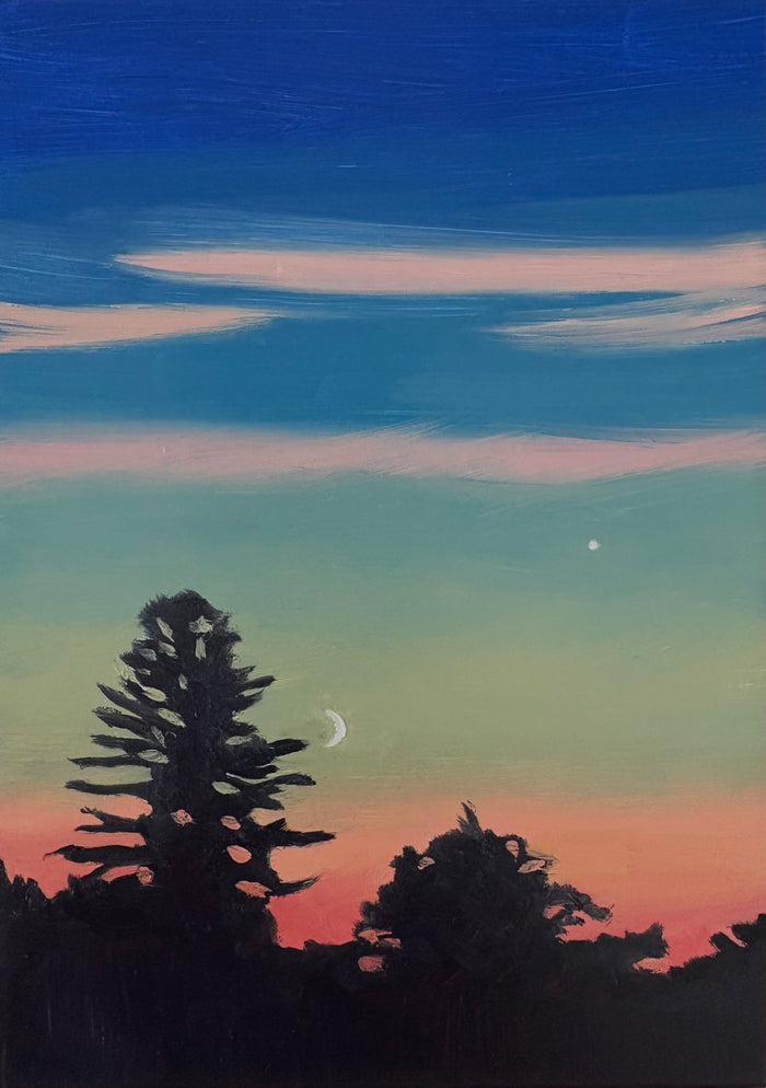 Look UP! 21 Winter Night