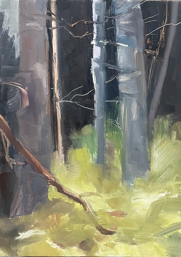 Path to Double Beaches