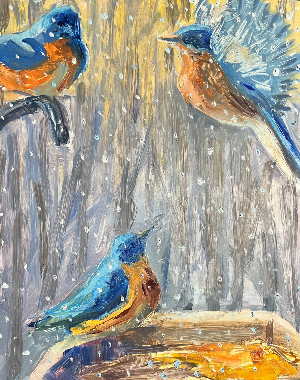 Boy Bluebirds In Snow
