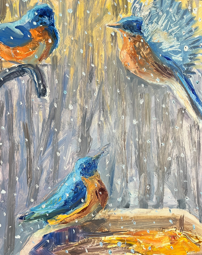 Boy Bluebirds In Snow