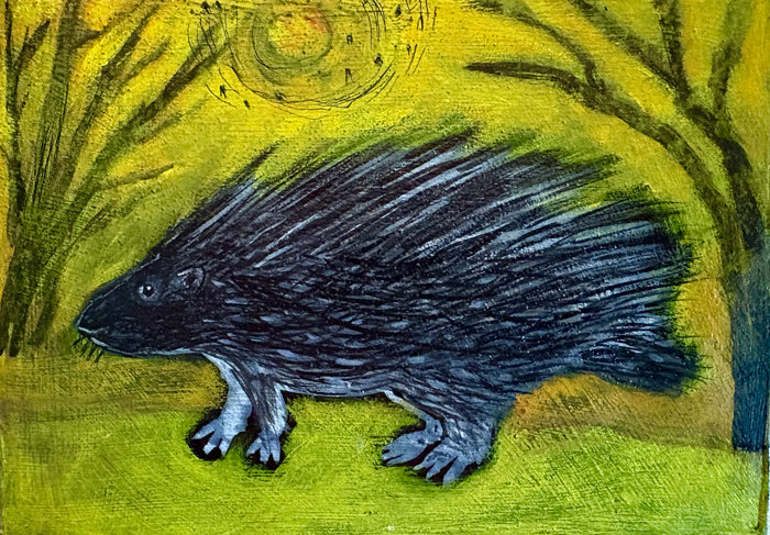 Porcupine Wisdom
