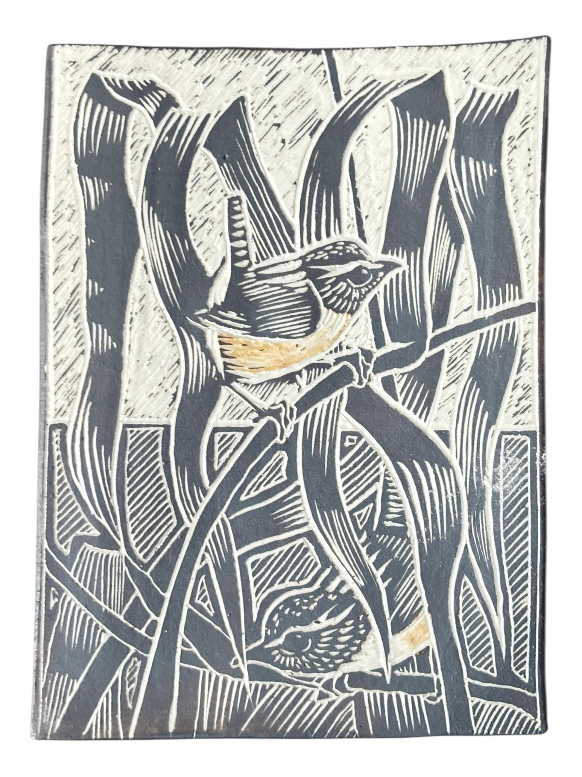 Marsh Wrens and Cord Geass