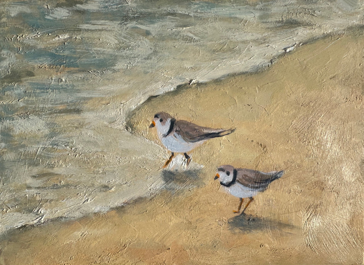 Two Plovers