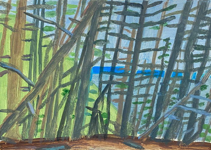 View from Piccos Ridge