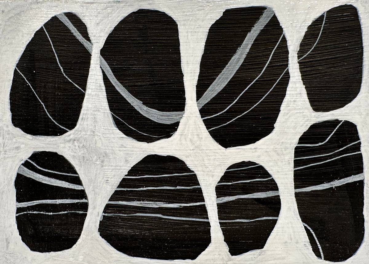 Holbrook Island Rocks - 21