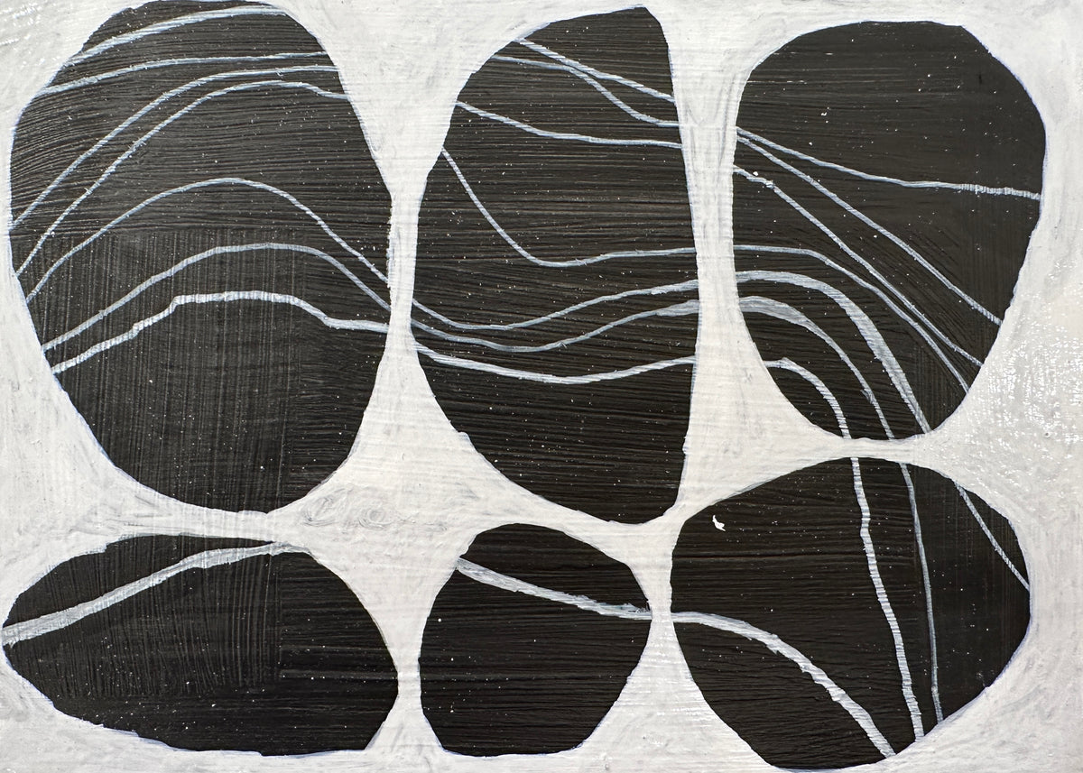 Holbrook Island Rocks - 19