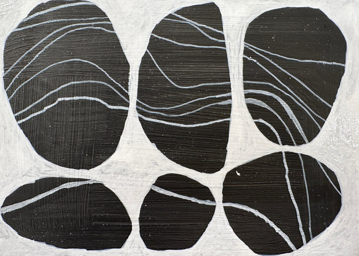 Holbrook Island Rocks - 19