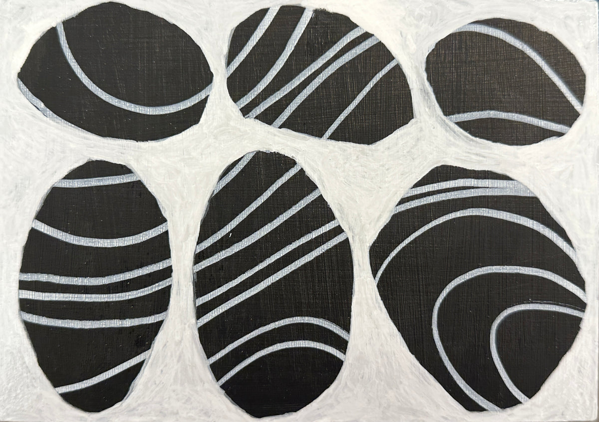 Holbrook Island Rocks - 15