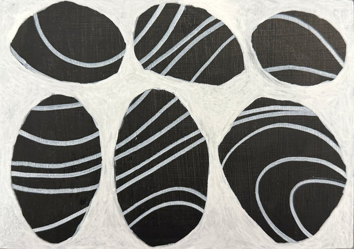 Holbrook Island Rocks - 15