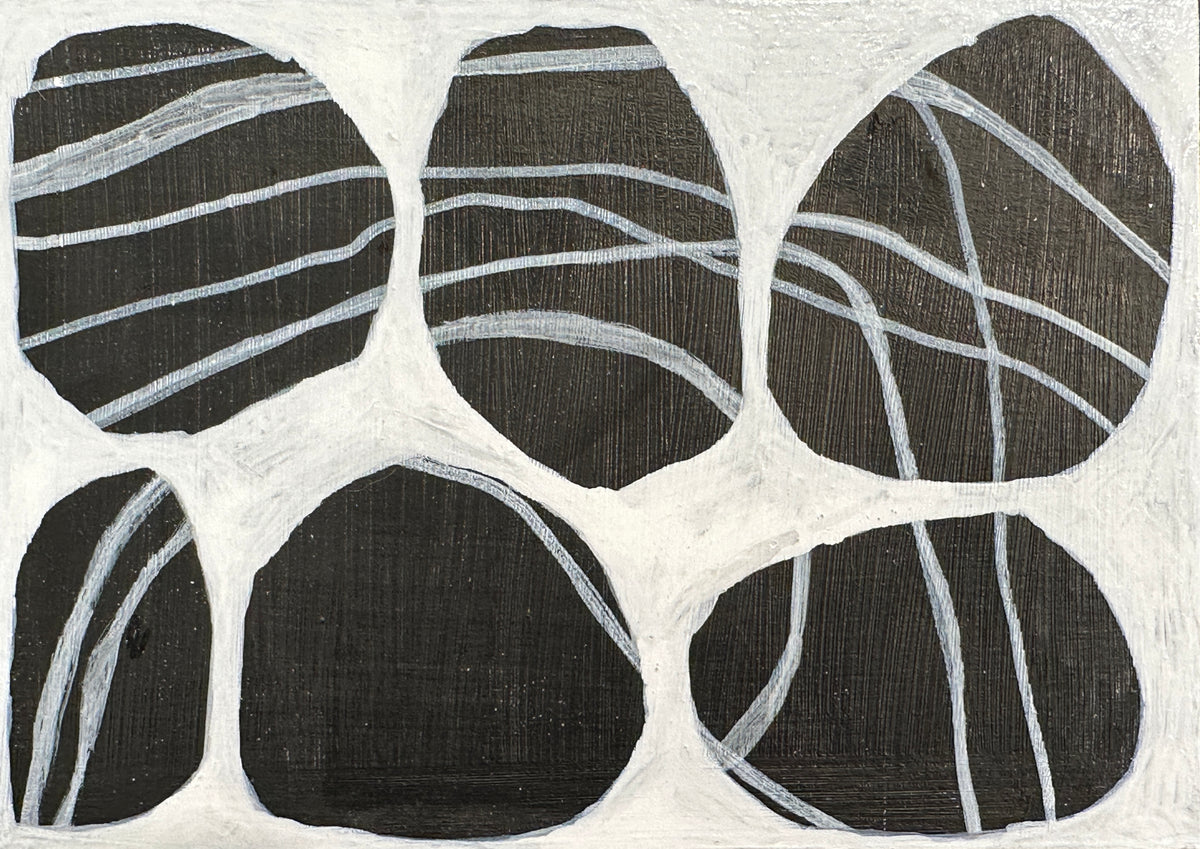 Holbrook Island Rocks - 16