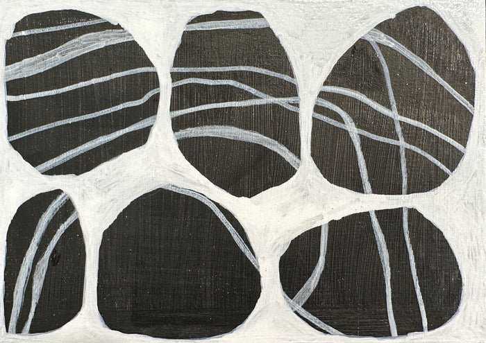 Holbrook Island Rocks - 16