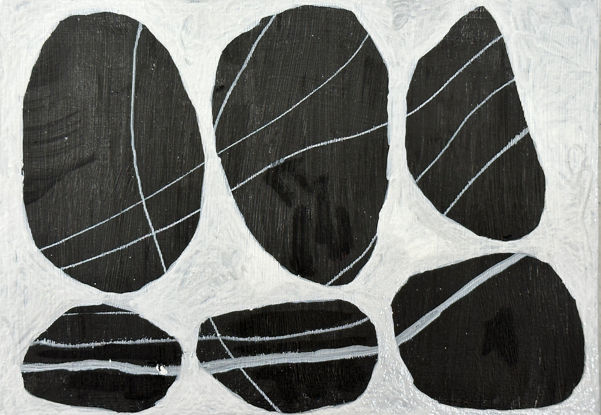 Holbrook Island Rocks - 23