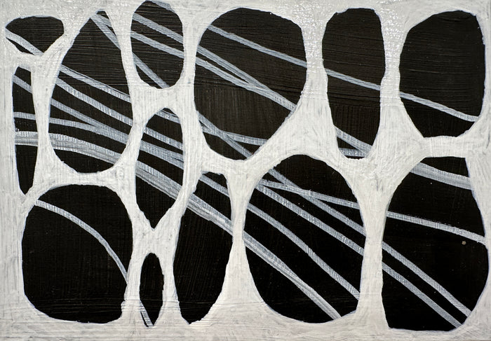 Holbrook Island Rocks - 22