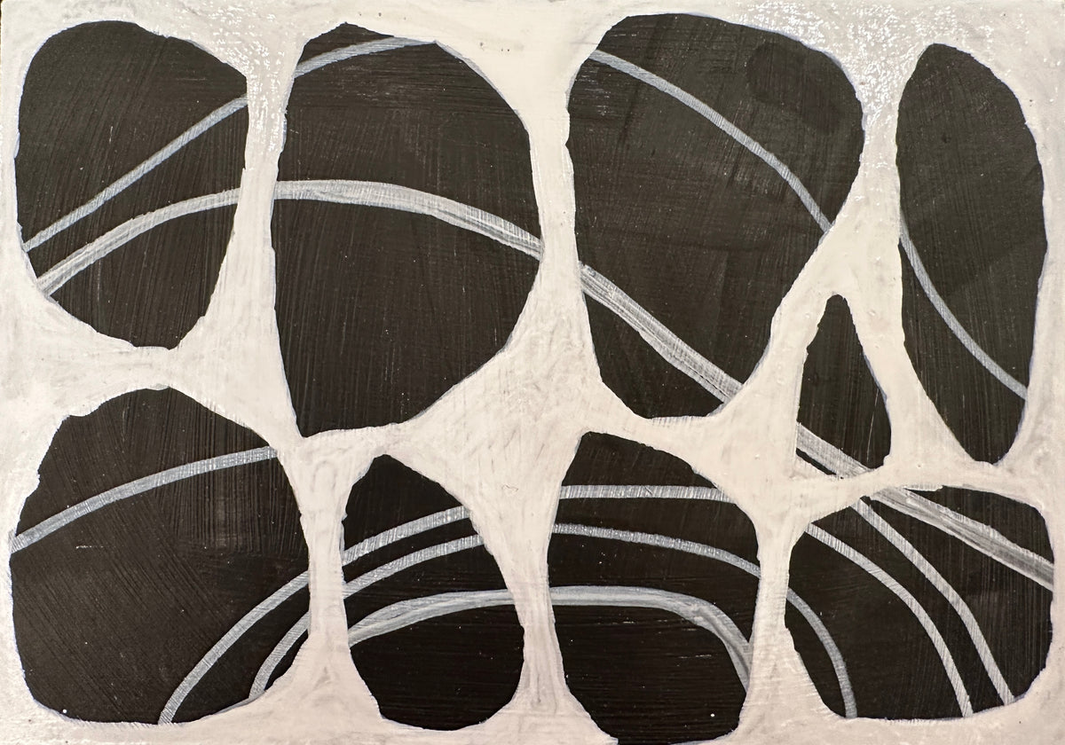 Holbrook Island Rocks - 20